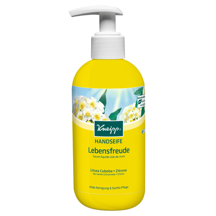 Hand Soap Fresh Citrus / Kneipp