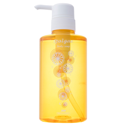 2019 Summer Limited Edition Spalgae Body Soap / TAYA