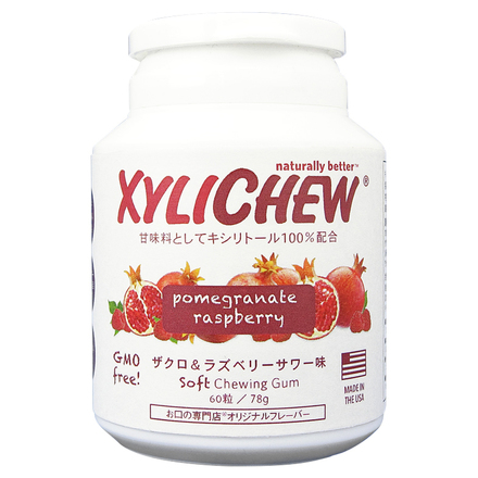 Xylichew Chewing Gum / okuchi no semmonten