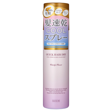 QUICK HAIR DRY COOL SPRAY / SQUSE ME