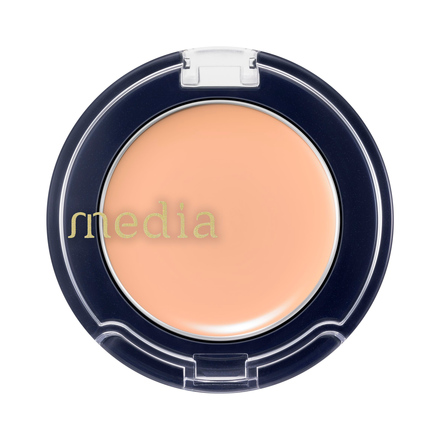 CONCEALER S / media