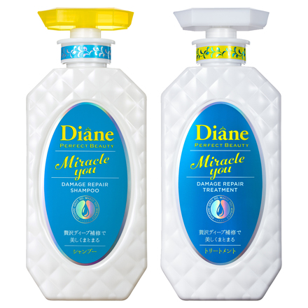 Diane PERFECT BEAUTY MIRACLE YOU SHAMPOO & TREATMENT / Moist Diane