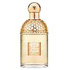 �Q���� / �A�N�A �A���S���A �}���_���� �o�W���b�N