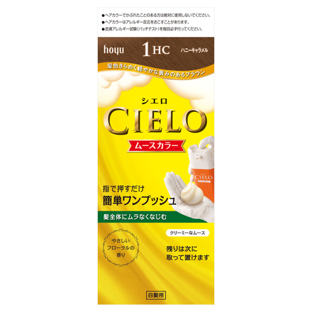 Mousse Hair Color / CIELO