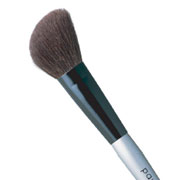 Cheek Brush / paula dorf