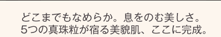 �ǂ��܂ł��Ȃ߂炩�B�����̂ޔ������B5�̐^�엱���h����e���A�����Ɋ����B
