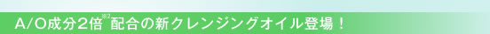 A/O����2�{��2�z���̐V�N�����W���O�I�C���o��I