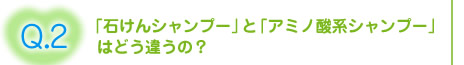 Q.2  �u�΂���V�����v�[�v�Ɓu�A�~�m�_�n�V�����v�[�v�͂ǂ��Ⴄ�́H