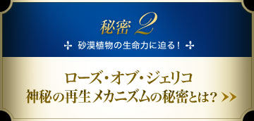 �閧2 �����A���̐����͂ɔ���I ���[�Y�E�I�u�E�W�F���R�_��̍Đ����J�j�Y���̔閧�Ƃ́H