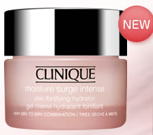NEW �w���C�X�`���[ �T�[�W �C���e���X�x
