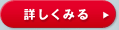 �ڂ����݂�
