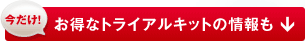 �������I �����ȃg���C�A���L�b�g�̏���