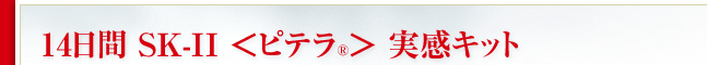 14���� SK-II ���s�e��&reg;�� �����L�b�g