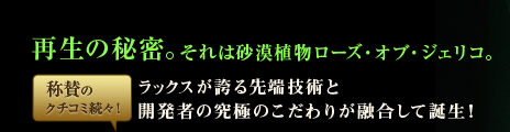 �Đ��̔閧�B����͍����A�����[�Y�E�I�u�E�W�F���R�B�@���b�N�X���ւ��[�Z�p�ƊJ���҂̌����̂�����肪�Z�����Ēa���I