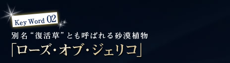 KeyWord02 �ʖ�&rdquo;������&rdquo;�Ƃ��Ă΂�鍻���A���u���[�Y�E�I�u�E�W�F���R�v