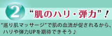 2.�g���̃n���E�e�́h�I �g���蔧�}�b�T�[�W�h�Ŕ��̌�����������邩��A�n����e��UP�����҂ł�������