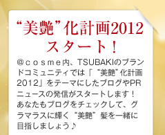 &ldquo;����&rdquo;���v��2012 �X�^�[�g�I ���������������ATSUBAKI�̃u�����h�R�~���j�e�B�ł́u&ldquo;����&rdquo;���v��2012�v���e�[�}�ɂ����u���O��PR�j���[�X�̔��M���X�^�[�g���܂��I ���Ȃ����u���O���`�F�b�N���āA�O���}���X�ɋP��&ldquo;����&rdquo;�����ꏏ�ɖڎw���܂��傤��