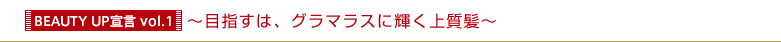 �yBEAUTY UP�錾 vol.1�z�`�ڎw���́A�O���}���X�ɋP���㎿���`