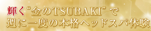 �P��&ldquo;����TSUBAKI&rdquo;�ŏT�Ɉ�x�̖{�i�w�b�h�X�p�̌�
