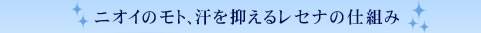 �j�I�C�̃��g�A����}���郌�Z�i�̎d�g��