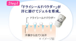 Step1�@�u�h���C�V�[���h�p�E�_�[�v�����ɗn���ăW�F�����`���B