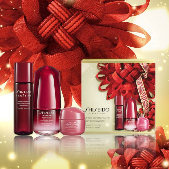 SHISEIDO 2024 zf[Lbg ʌŔI