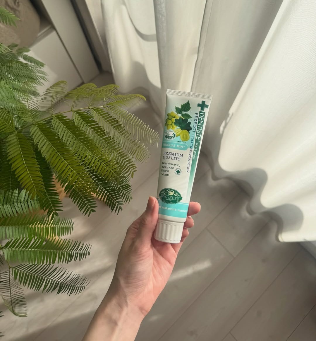 �y�N�`�R�~�Љ�z�f���e�B�X���{����A�C�e��