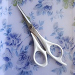 13345036 by *chom* さん