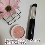 2,340ポイントバック】コンシーラーチーク01セット / ブリリアージュ