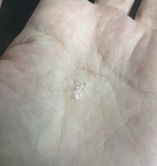 13382061 by ぽちこた125 さん