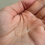 13330950 by さこ0120 さん