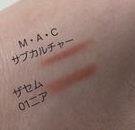 13403879 by leeMIO さん