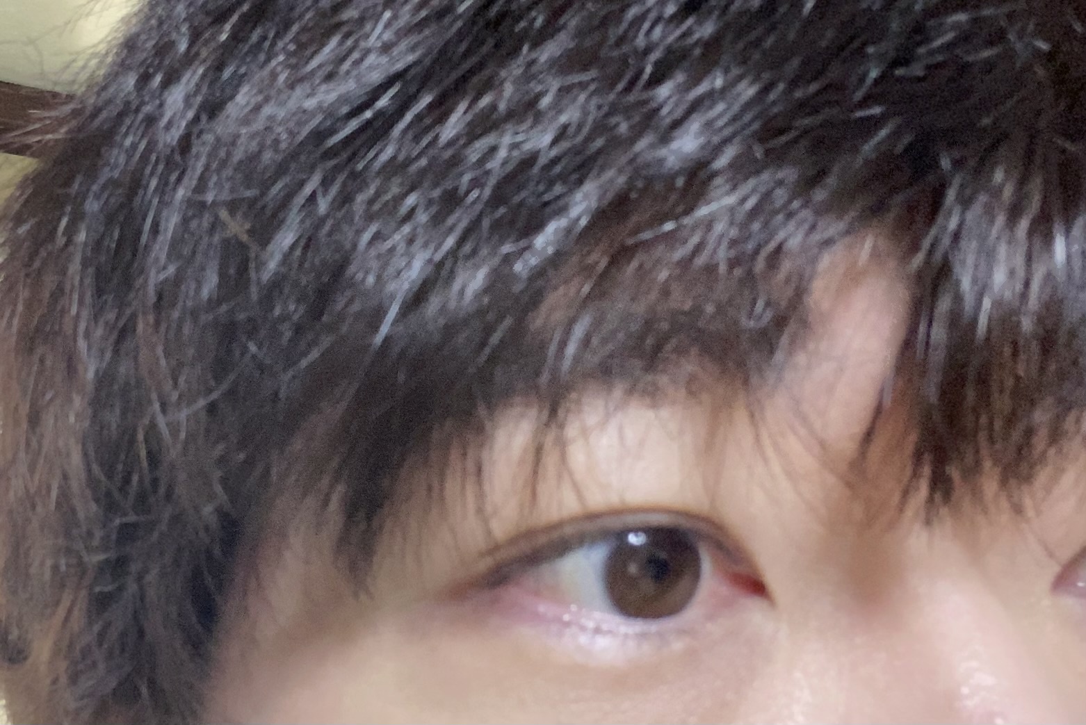 �j���ł��B�����̖ڂɂ��Ăł��� by �������� �̉摜