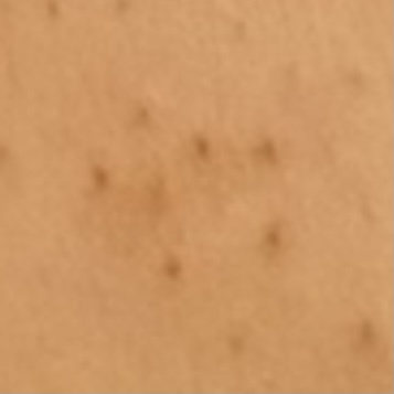 �������ь����w����by ��������̉摜