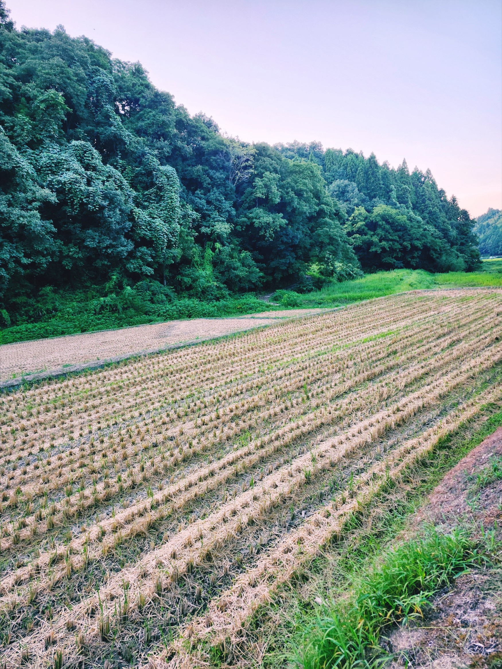 8��31���B�Ă̏I���(*�L�`*) by ���̃J�P����*������ �̉摜