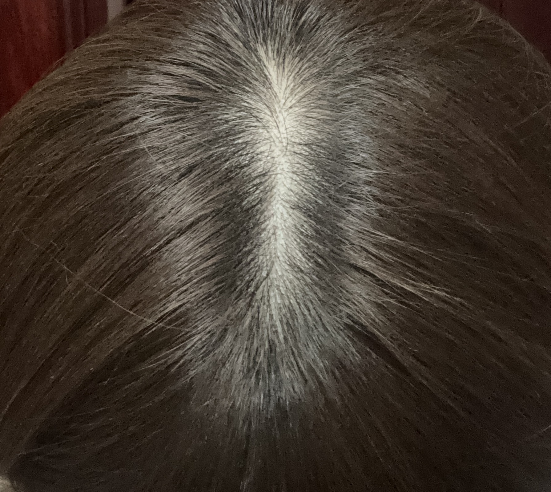 ���̌㓪���ɂ���by ��������̉摜