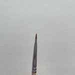 13397062 by めぐ村 さん