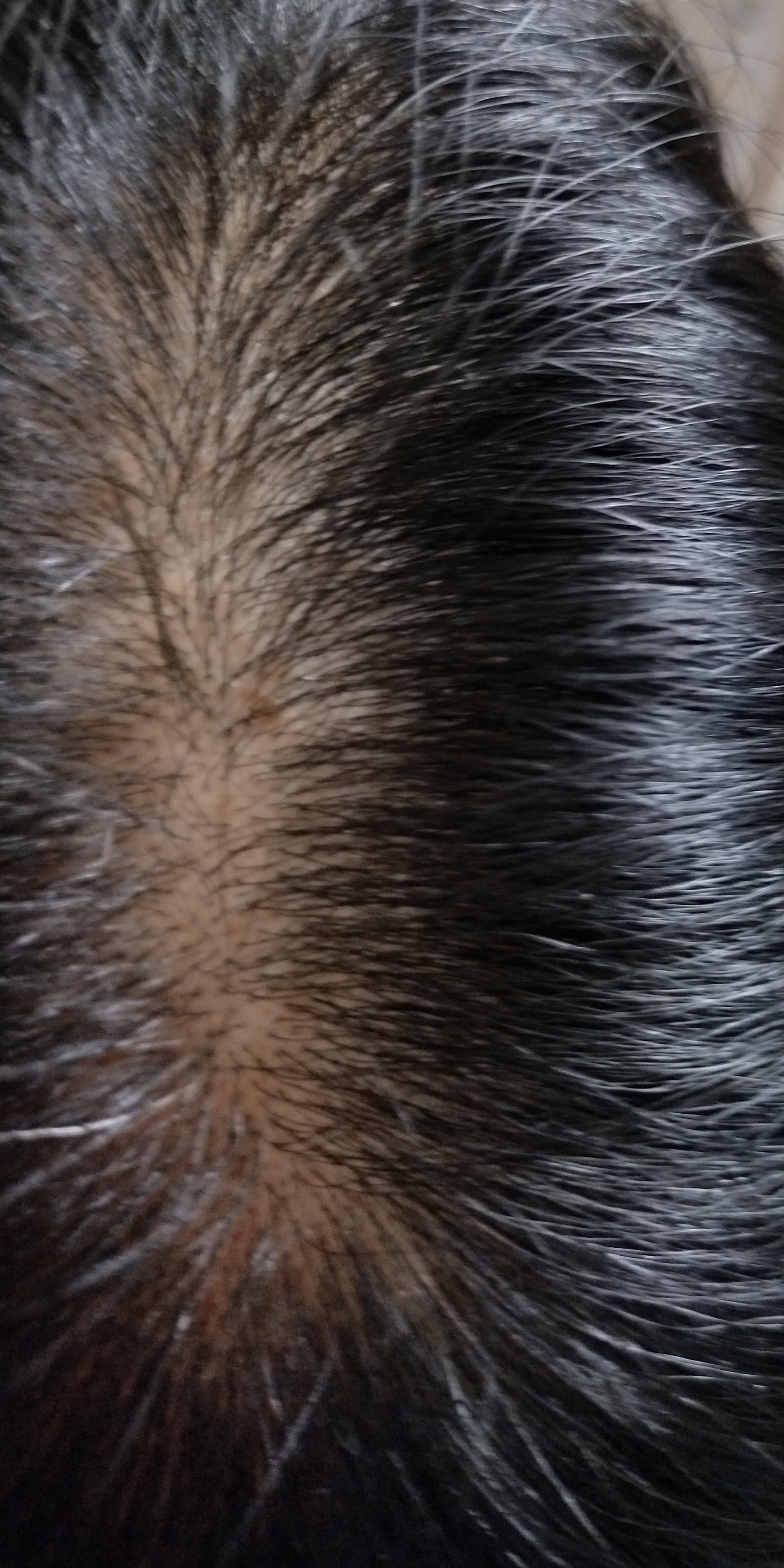 �i�����ς�OK�j��@by ��������̉摜