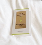 13255281 by **購入者** さん