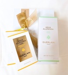 13296833 by **購入者** さん