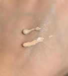 13417003 by 青玉キック さん