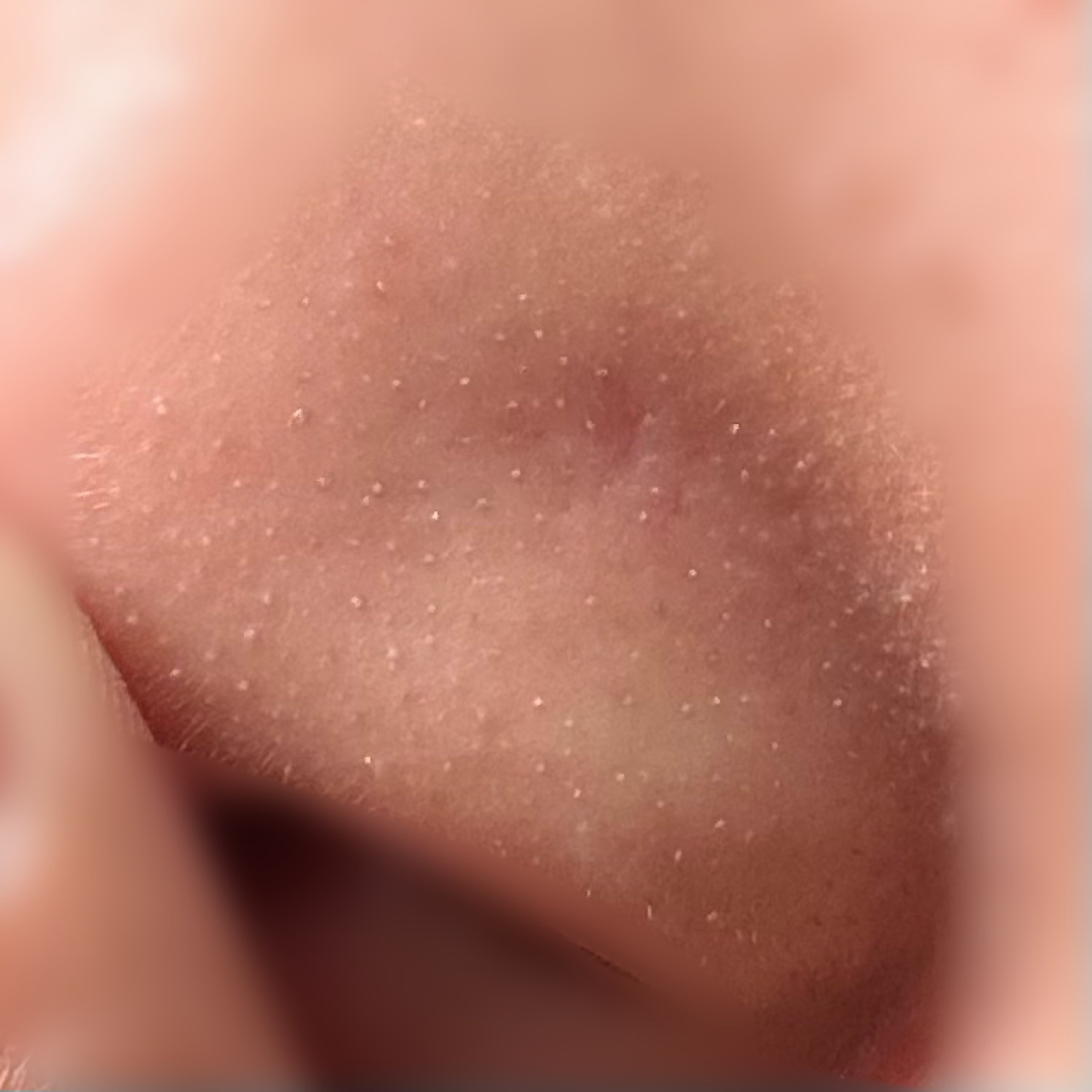 �ь�by ��������̉摜