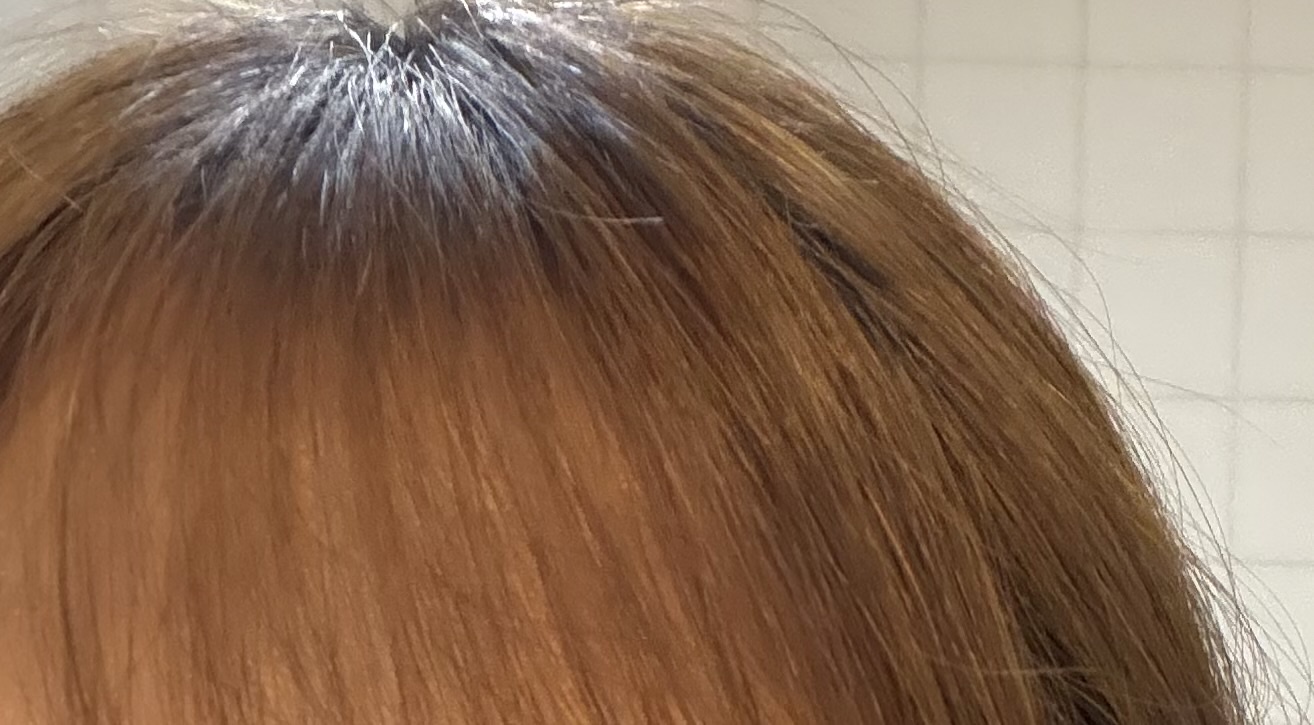 �����V����by ��������̉摜