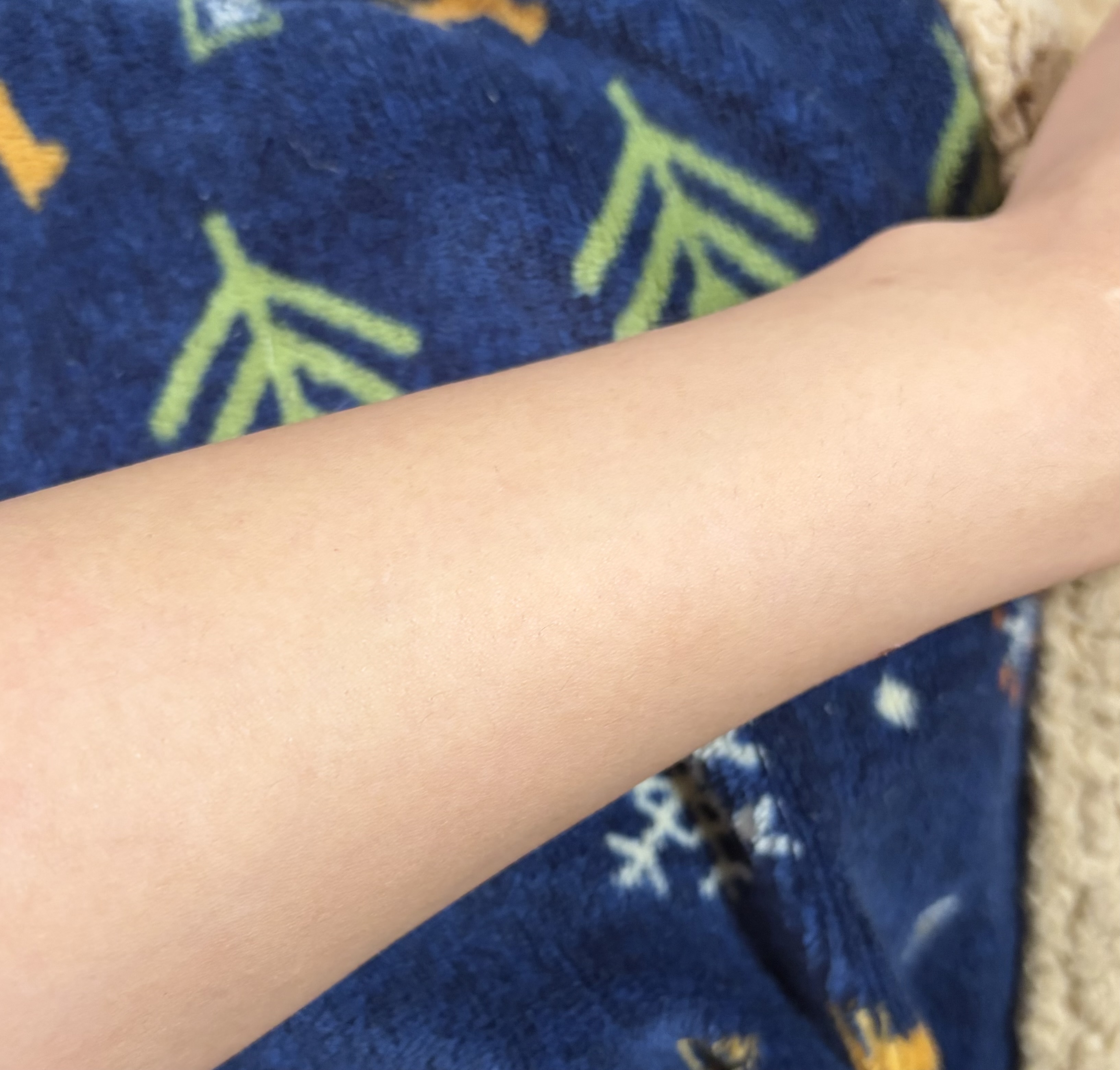 �F����by ��������̉摜