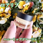 13384533 by Johnny. さん