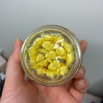 13518562 by Serena☆ さん