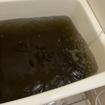 13507538 by miruka☆ さん