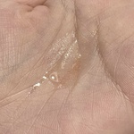 13571272 by なか0524 さん