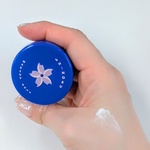 13581787 by chiiidonuts さん