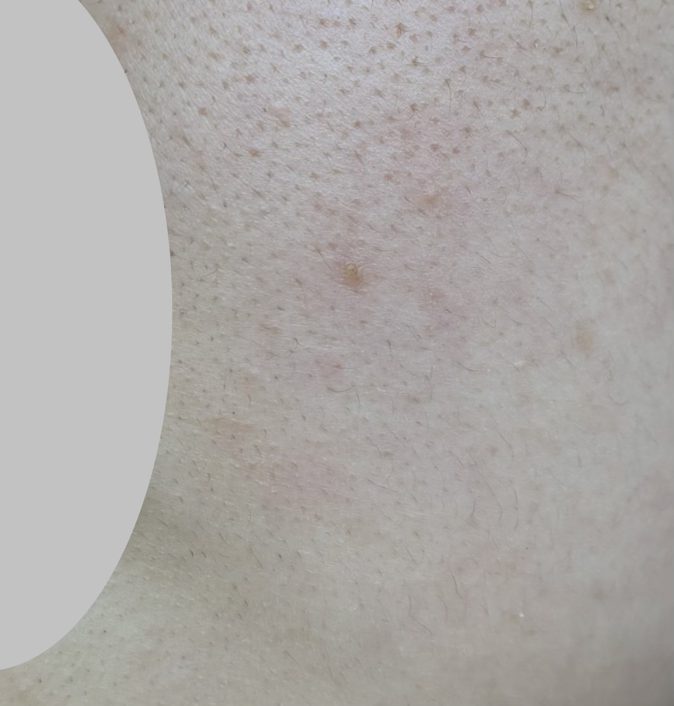 �ь��A���Ԗтɂ��� by �������� �̉摜